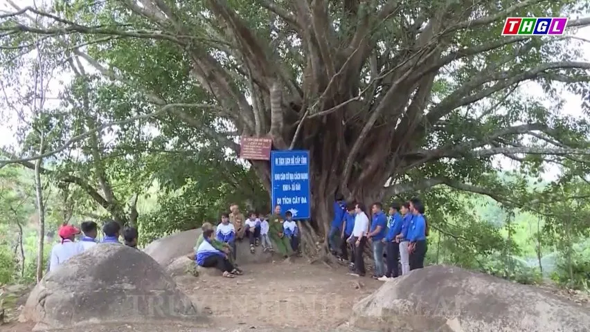Về thăm những “địa chỉ đỏ”